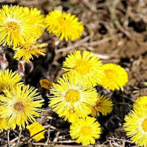 Во Владимирскую область вернется 15-градусное тепло