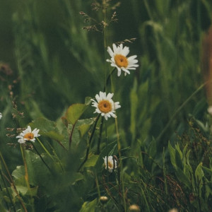 Синоптики пообещали дождливое и холодное начало июня во Владимирской области
