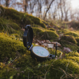 Во Владимирской области волонтеры нашли 66 человек