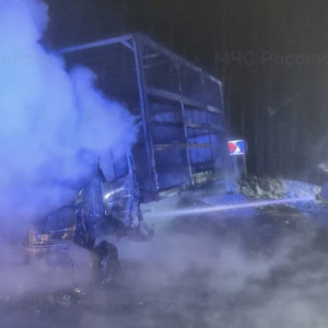 В Суздальском районе спасатели вытащили водителя из авто после ДТП с пожаром