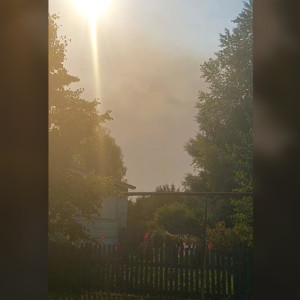 Село во Владимирской области засыпало пеплом от лесных пожаров