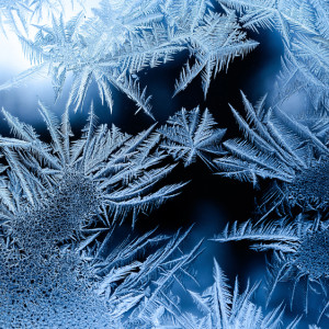 Во Владимирскую область вернутся заморозки до -8 градусов