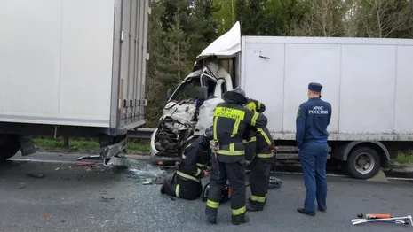 Водитель грузовика погиб в двойном ДТП на М-7 Волга во Владимирской области