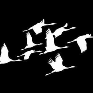 Владимирцев пригласили к участию в акции «Летят журавли» в честь погибших в «Крокусе»