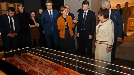 Во Владимире открылась посвященная верхнему палеолиту выставка