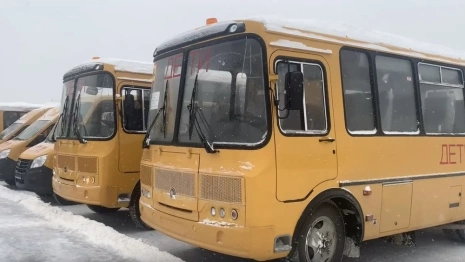 Во Владимире отменили рейс автобуса из Лунево к школе №46