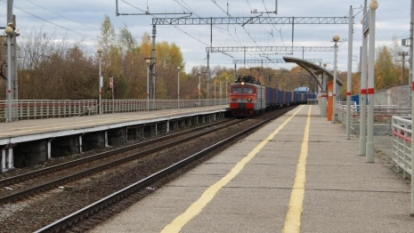 Для жителей Владимира в ноябрьские праздники увеличат количество «Ласточек»