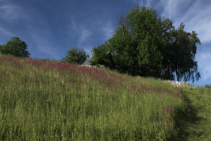 Деревни и села Владимирской области собрали почти миллион рублей на благоустройство