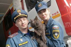 Спасатели показали спасенного  в мартовский мороз котенка из Гусь-Хрустального