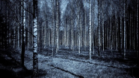 Во Владимирской области пропавшую без вести 63-летнюю женщину нашли мертвой