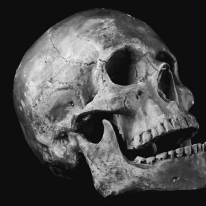 Между корпусами больницы во Владимире нашли два черепа и кости