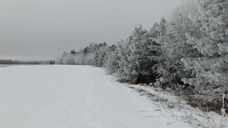 Прогноз погоды во Владимирской области на 17 февраля 2025 года