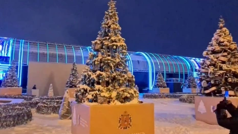 Елку от Владимирской области установили на выставке «Россия»