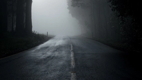 Пропавшую в Александрове женщину спустя 7 месяцев нашли мертвой