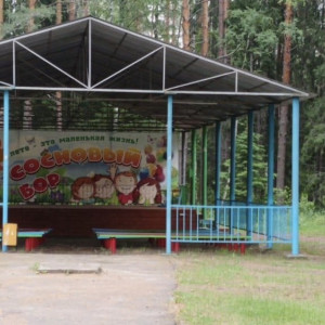 В вязниковском лагере «Сосновый бор» нашли массу нарушений