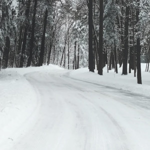 Владимирская область оказалась не готовой к зиме