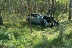 В Камешковском районе иномарка съехала в кювет