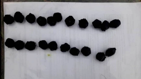 Во Владимирской области задержали доставщика еды-закладчика наркотиков