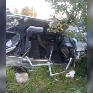 Под Киржачом спасатели вызволили пострадавшего в ДТП