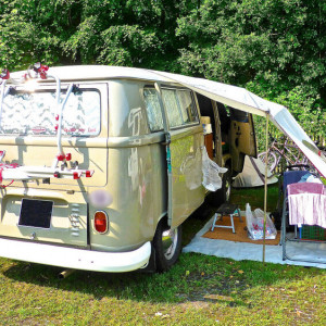 В трех городах Владимирской области появятся дома на колесах