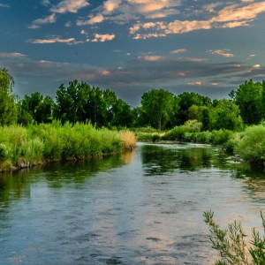 Синоптики дали прогноз на лето во Владимирской области