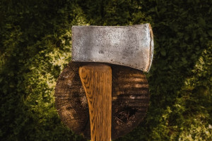 В Судогде под суд пойдет срубивший 33 дерева «черный лесоруб»