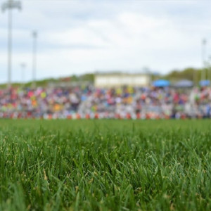 Проект реконструкции стадиона «Торпедо» во Владимире оценили в 7,5 млн рублей 