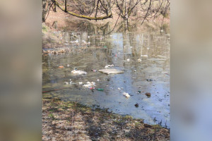 Во Владимире Добросельский пруд завалили мусором