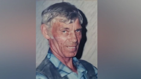 Во Владимирской области начали поиски пропавшего пенсионера