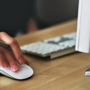 Кирпичи из конопли и гонки у кладбища. Главные новости недели во Владимирской области