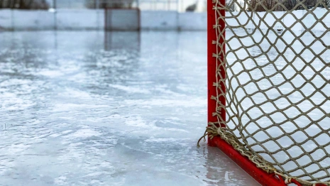 Чемпион мира открыл ледовую арену во Владимирской области