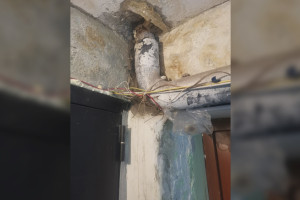 В Вязниках ЖЭК игнорировала проблемы в многоквартирном доме