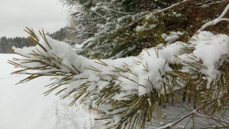 Прогноз погоды во Владимирской области на 1 марта 2026 года