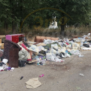 Жители Коврова создали стихийную свалку мусора и сами же пожаловались на нее