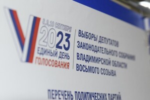 Владимирская область оказалась на 5 месте по явке на электронное голосование