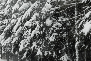 Народные приметы на 17 февраля 2024: что можно и нельзя делать в день Николая Исповедника