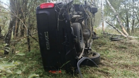 В Александровском районе 25-летний автомобилист попал в больницу после наезда на дерево