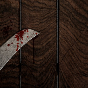 Житель Юрьев-Польского устроил поножовщину в гостях и попытался сбежать