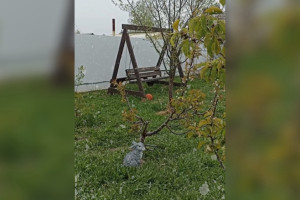 Во Владимирской области пошел снег