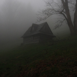 Павлов день: что можно и нельзя делать 28 января