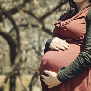 Жительница Вязников подделала справку о беременности ради смягчения приговора