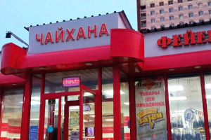 Жители Владимира сообщили о нашествии крыс у популярного кафе 