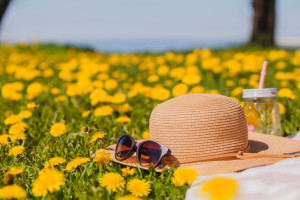 Во Владимире установили 3 температурный рекорд за июль