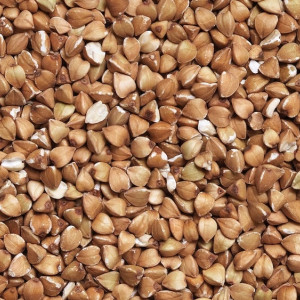 Акулина Гречишница: что можно и чего нельзя делать 26 июня