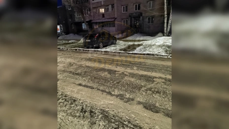 Ковровские коммунальщики услышали просьбу дворника после четвертой жалобы Путину