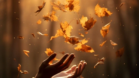 День Иона Листодера: что можно и нельзя делать 5 октября