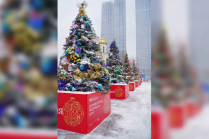 Владимирцев пригласили посмотреть на «Новогоднюю Россию»