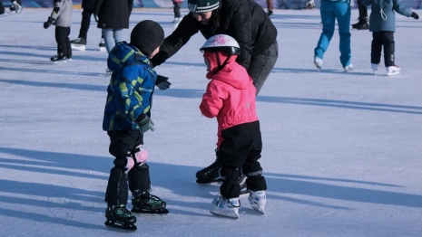 Каток и бассейн. Куда во Владимире могут бесплатно сходить семьи мобилизованных