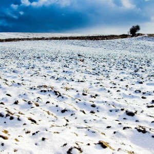 Прогноз погоды на 21 марта 2024 года во Владимире и области