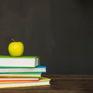 Дети вернулись в школы и детсады после ЧП с детонацией боеприпасов под Киржачом